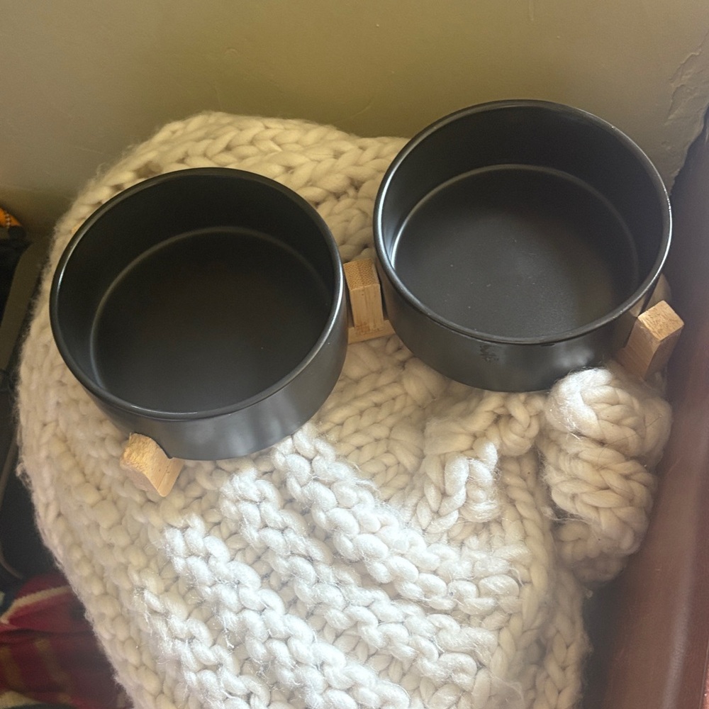 Dog Eating bowl set